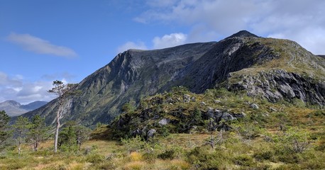 Obraz premium Snøhornet