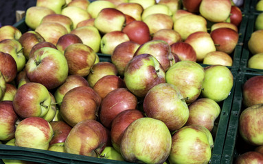 Apples in market
