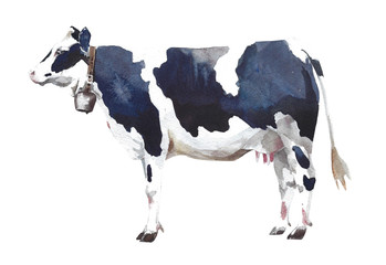 Cow farm animal watercolor painting illustration isolated on white background - 289389909
