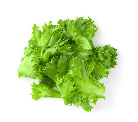 green frillies iceberg lettuce isolated on white background top view
