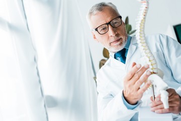 selective focus of doctor in white coat and glasses holding spine model in clinic