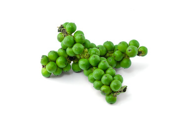 Fresh green peppercorns isolated on white background