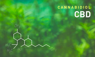 CBD Oil Chemical Formula. Growing Premium Marijuana products. Cannabidol molecule structure on green background.