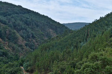 Fototapeta na wymiar Mountains in the village of Gois. Portugal