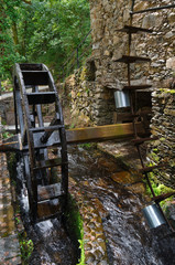 Obraz premium Ancient working water mill