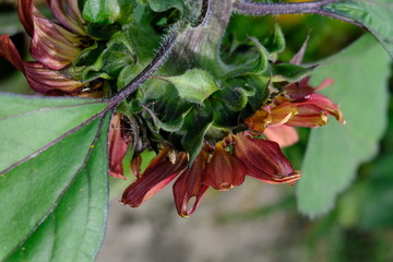 Backwards and upside down