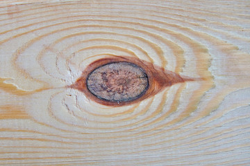Fototapeta na wymiar The gnarl texture of pine wood.