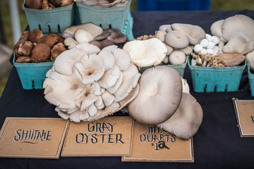 Exotic mushrooms at a farmers market
