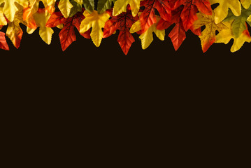 Colorful maple leaves on a black background. Happy autumn