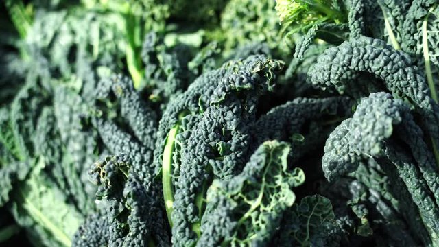 Many fresh vegetable on local market. Fresh silverbeet leaves on new zealand fresh market