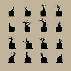 set of bonsai tree in pot, plant silhouette icons on background.