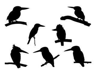 Collection of Kingfisher Bird on tree branch Silhouettes.