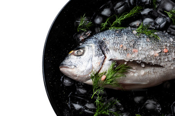 Fresh dorado with ice on the black dish