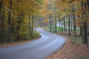 road in autumn