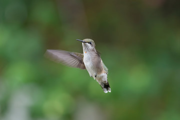 I'm Too Fast For You