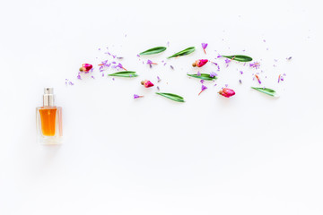 Ingredients of perfume concept. Flowers on white background top view copy space