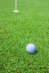 golf ball in green
