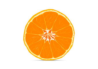 Sliced orange fruit vector illustration