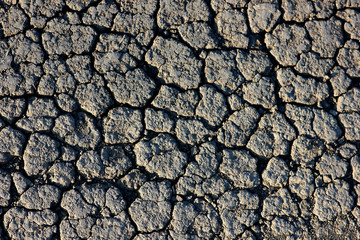 background with dried earth covered with cracks