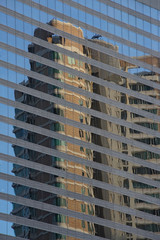 Fototapeta premium Distorted building reflection from facade window