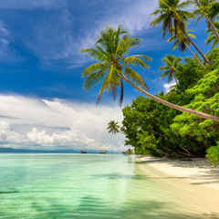 Fototapeta na wymiar Idillyc landscape of tropical beach - warm sea, palm trees, blue sky