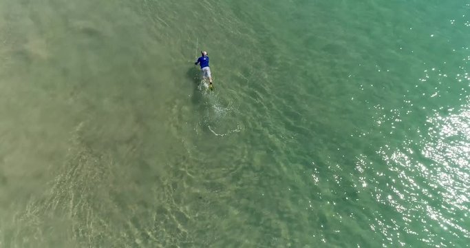 Snorkler diving in pristine waters. from above.