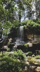 Fototapeta na wymiar waterfall in garden