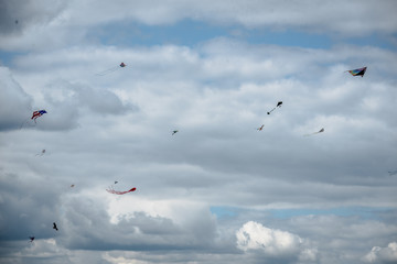 kites