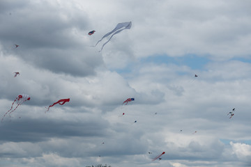 kites
