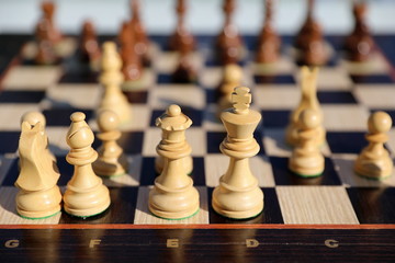 Debut in a chess game with a shallow depth of field
