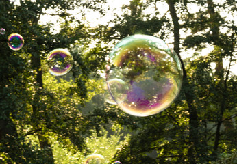 large colorful soap bubbles against a background of trees