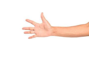 Man hand gesturing isolated on white background.