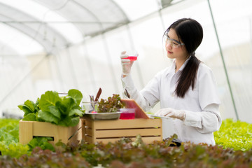 Young woman research green plants for hydroponics growing.