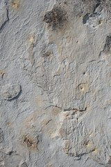 rock texture martian landscape