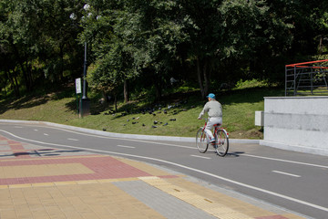 An senior man in a light sport clothes and a blue cap rides in a city park along a marked bicycle path.