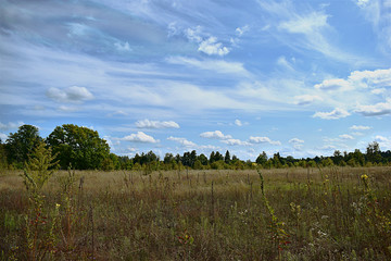 Fototapeta premium Meadow surrounded by forest and beautiful sky with diverse clouds.