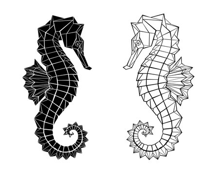 Polygonal seahorse