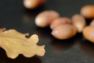 Acorns and dry oak leaves on a dark surface close up. Autumn background
