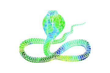 snake cobra graphic patterns. eps10 vector illustration. hand drawing