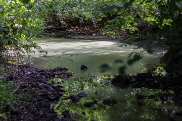 ruisseau polué