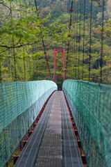 緑が美しい谷の吊り橋
