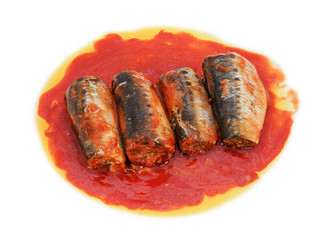 Canned fish (sardines, pilchards fish in tomato sauce) isolated on white background this has clipping path.  