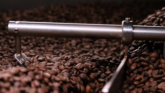 Close-up shot of roasted coffee beans mixing by stirrer on sieve