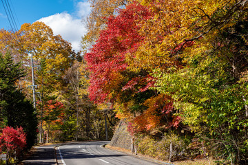 Karuizawa autumn scenery street view, colorful tree with red, orange, yellow, green, golden colors around the town in sunny day. Famous tourist attractions. Karuizawa, Nagano Prefecture, Japan