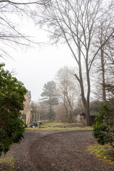 Karuizawa spring scenery view, one of best-known resort villages in Japan. giant tree around the country house in foggy day. Nagano Prefecture, Japan