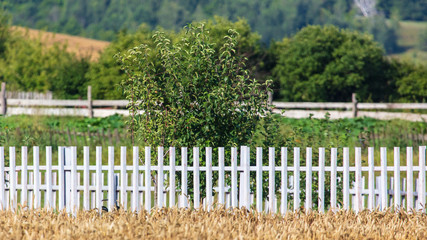 White wooden fence in the garden