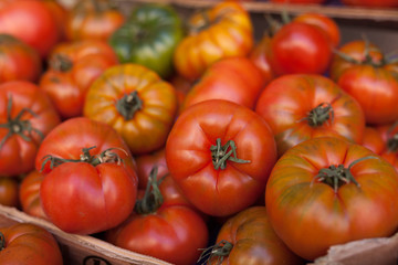 lots of tomatoes on a branch on counter