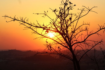 Fototapeta na wymiar Zimbabwe Sunset