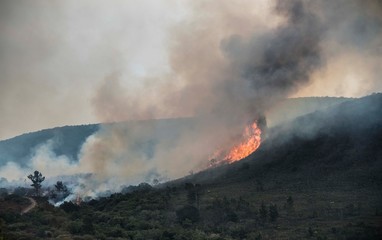 A bushfire in the Bergrivier area of South Africa