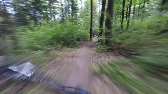 Person Riding Bike Fast Through A Green Forest